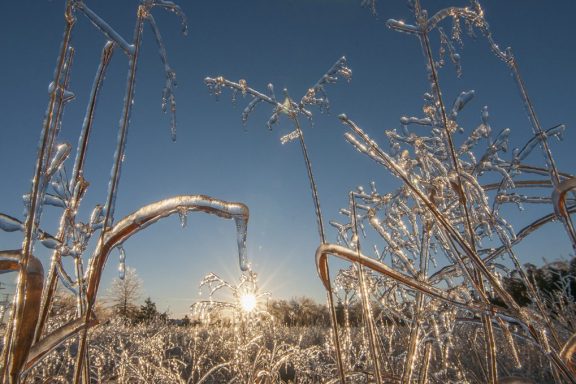 Right at sunrise, an ice-covered prairie landscape glimmers.