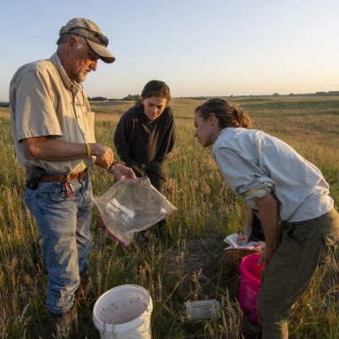 Three researchers, one older man and two women, gather data in a prairie.