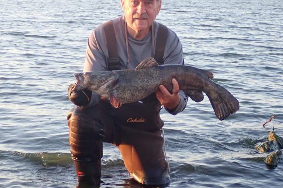 Daryl Bauer with a flathead catfish.