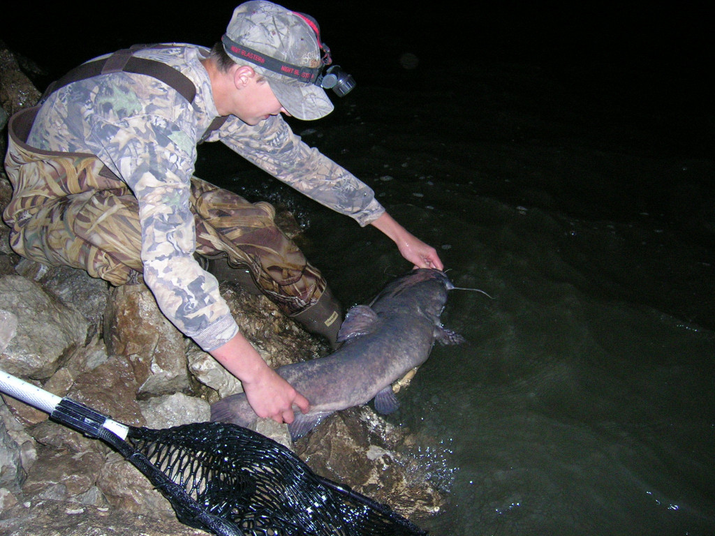 flathead catfish fishing