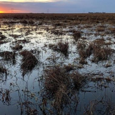 Sunset on the Rainwater Basin, a wetland in Nebraska.