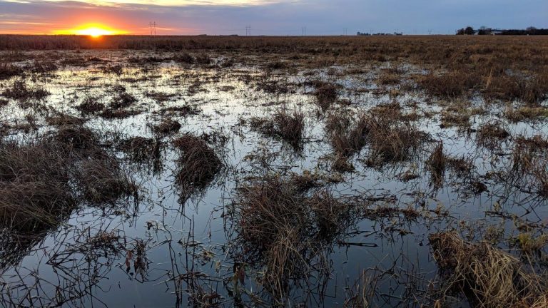 Sunset on the Rainwater Basin, a wetland in Nebraska.