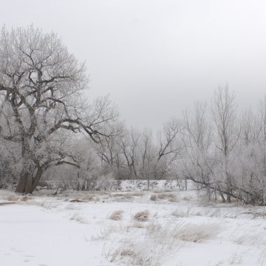 A snowy, cold winter day after a winter storm.