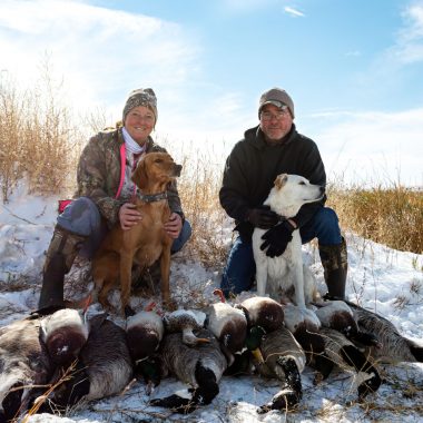 A man and a woman with two dogs waterfowl hunting.