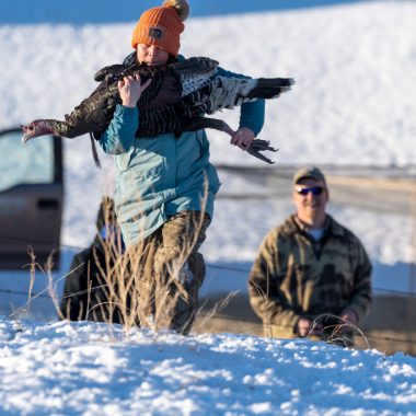 Researcher carrying a wild turkey