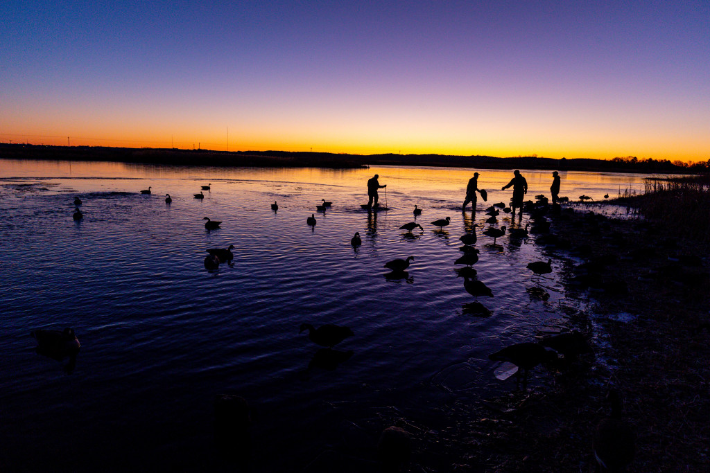 Hunters arrange goose decoys in a wetland with a colorful sunrise in the background.