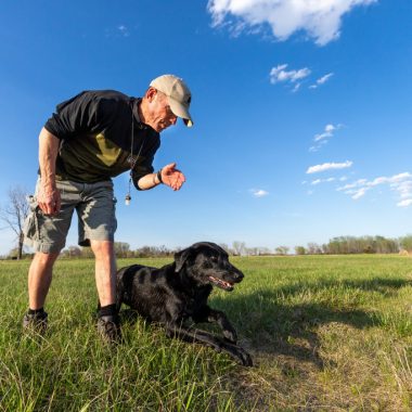 A man and his hunting dog training in a field.