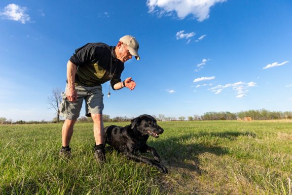 A man and his hunting dog training in a field.