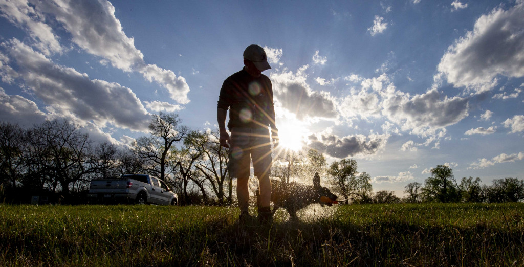 A man and his hunting dog training in a field.