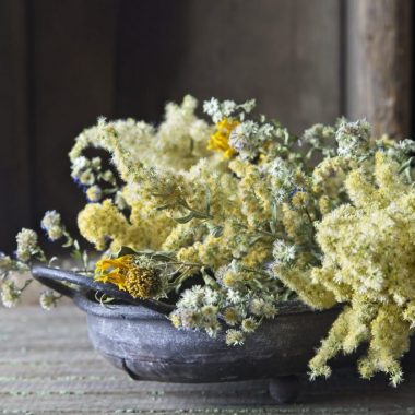 Dried native flowers for arranging.