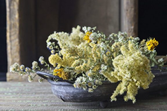 Dried native flowers for arranging.