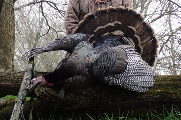 Daryl Bauer posing with a turkey.