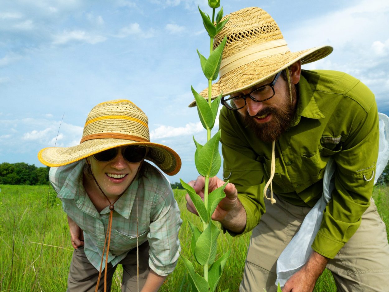 A man and woman look for insects during a citizen science event.