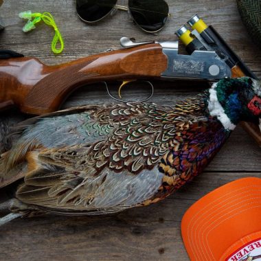 Beretta Whitewing 20 gauge over-under shotgun with upland hunting accessories.