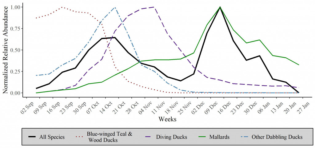 A graph showing abundance of waterfowl species at different times of the year in Nebraska.