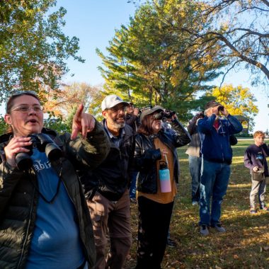 A group of people birding with binoculars.