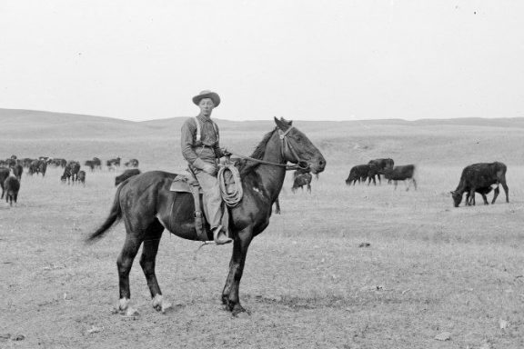 Cowboy and herd in Cherry County in 1889.