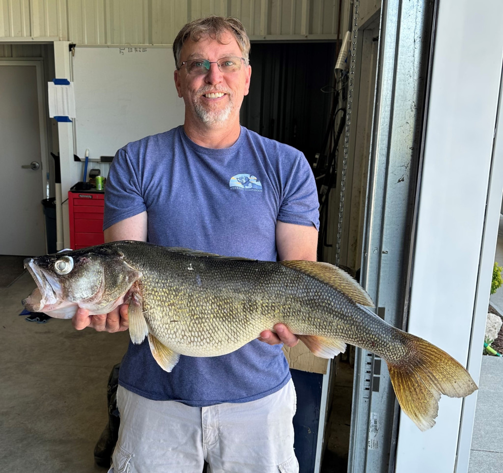 Man with 2023 state record walleye.