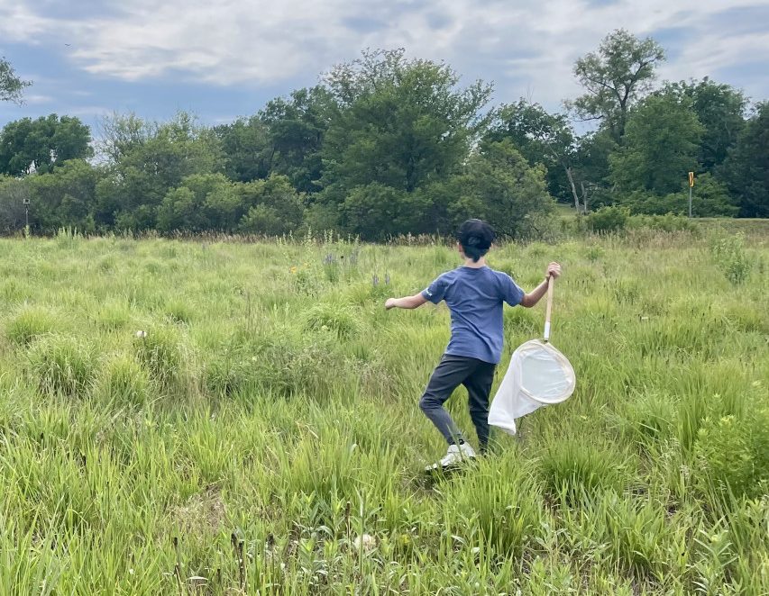 A boy swings a bug net as he walks through a green prairie