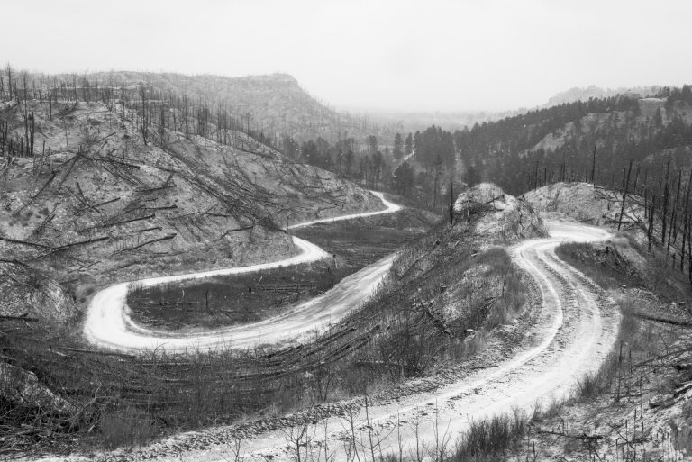 A winding road in a rugged pine forest during winter.