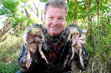 I man wearing camo holds two large American bullfrogs outdoors.