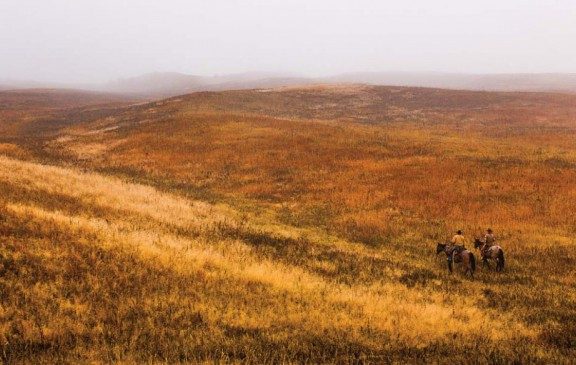 Sandhills prairie in fall color