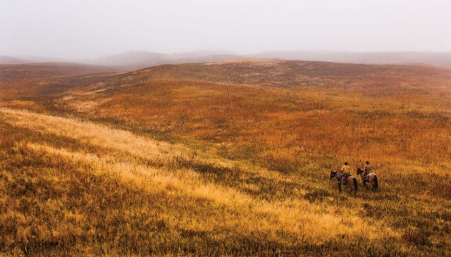 Sandhills prairie in fall color