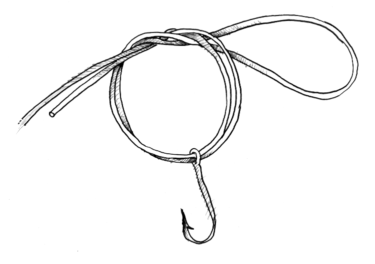 illustration of a fishing wire and hook