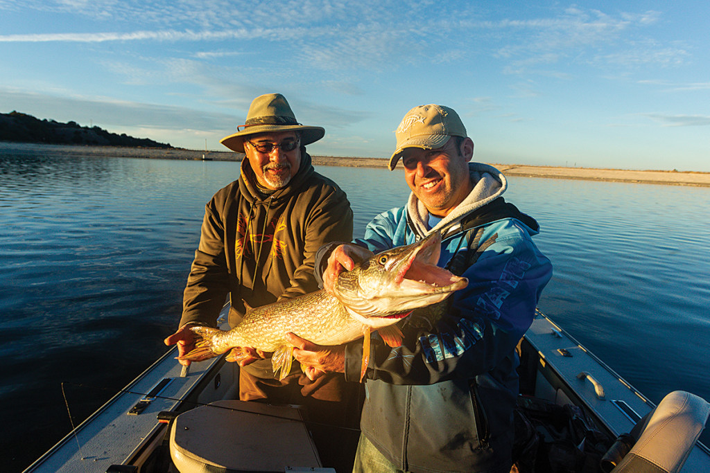 Two men catch a northern pike.