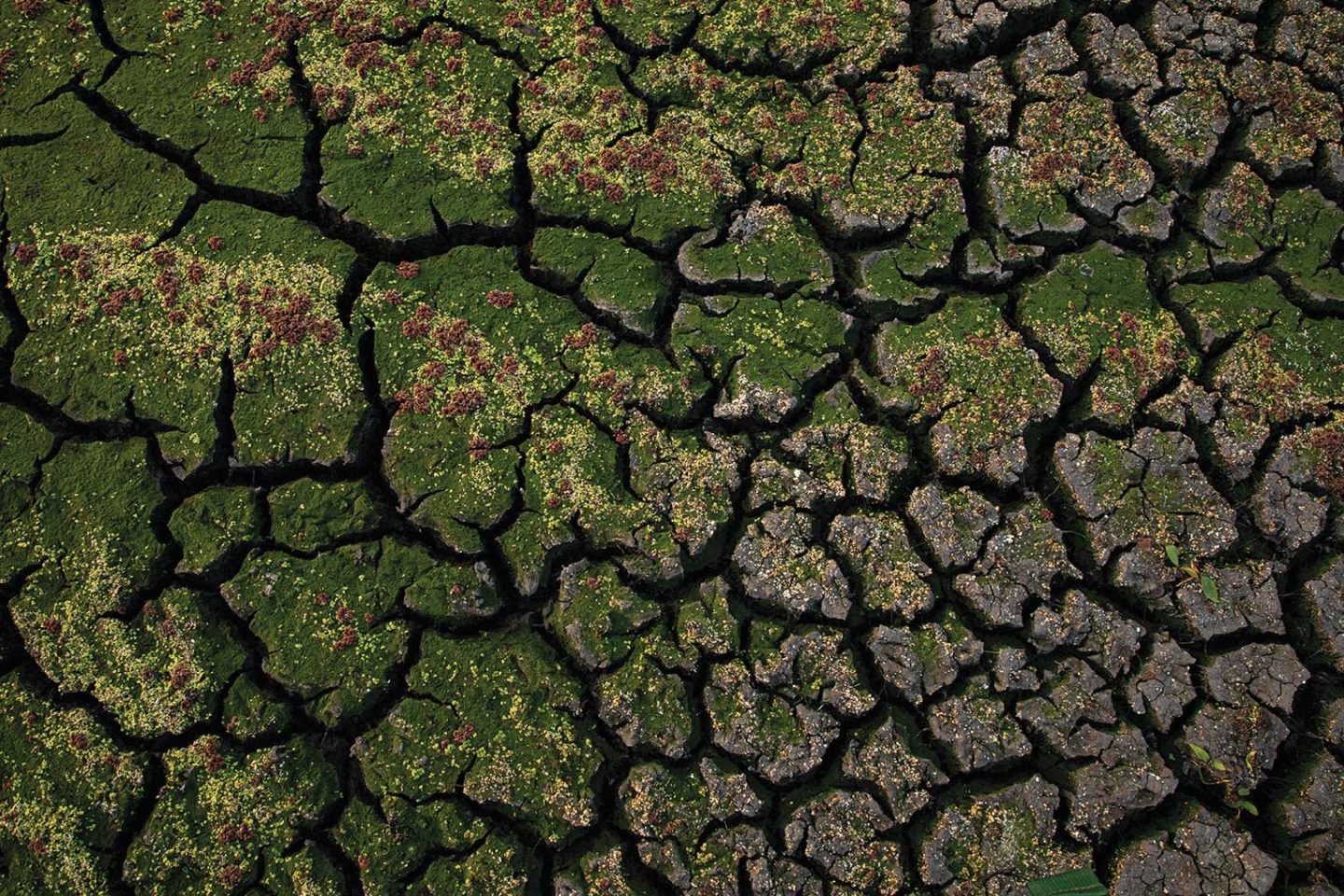 Aerial photo of soil cracking in the Rainwater Basin.