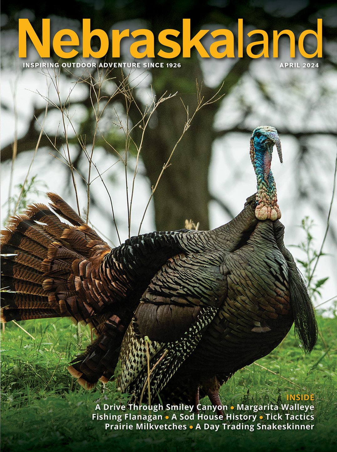 April 2024 Nebraskaland Magazine cover featuring a wild turkey strutting through a forest.