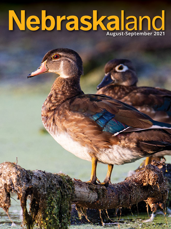 August-September 2021 cover of Nebraskaland featuring two ducks on a log.