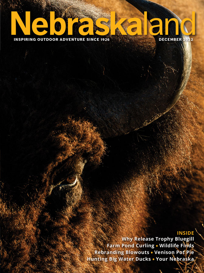 December 2022 Nebraskaland cover featuring a close-up of a bison's face.