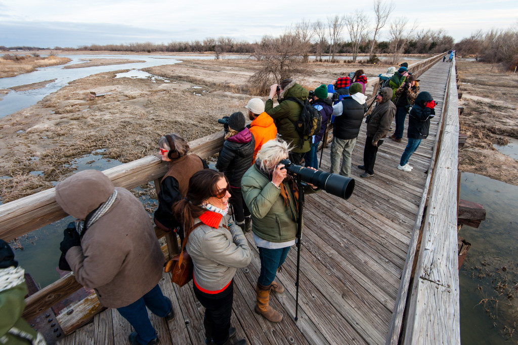 a row of people wearing warm coats stand on a wooden walkway looking for cranes