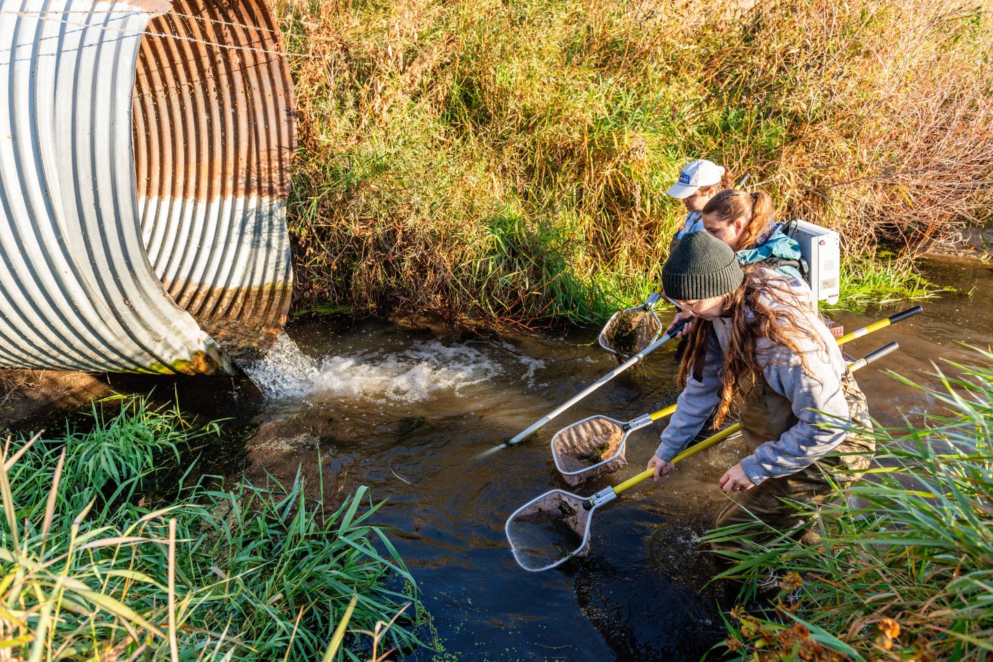 Two biologists sampling fish below a culvert.