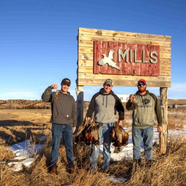 Three brothers with harvested pheasants on a Controlled Shooting Area.