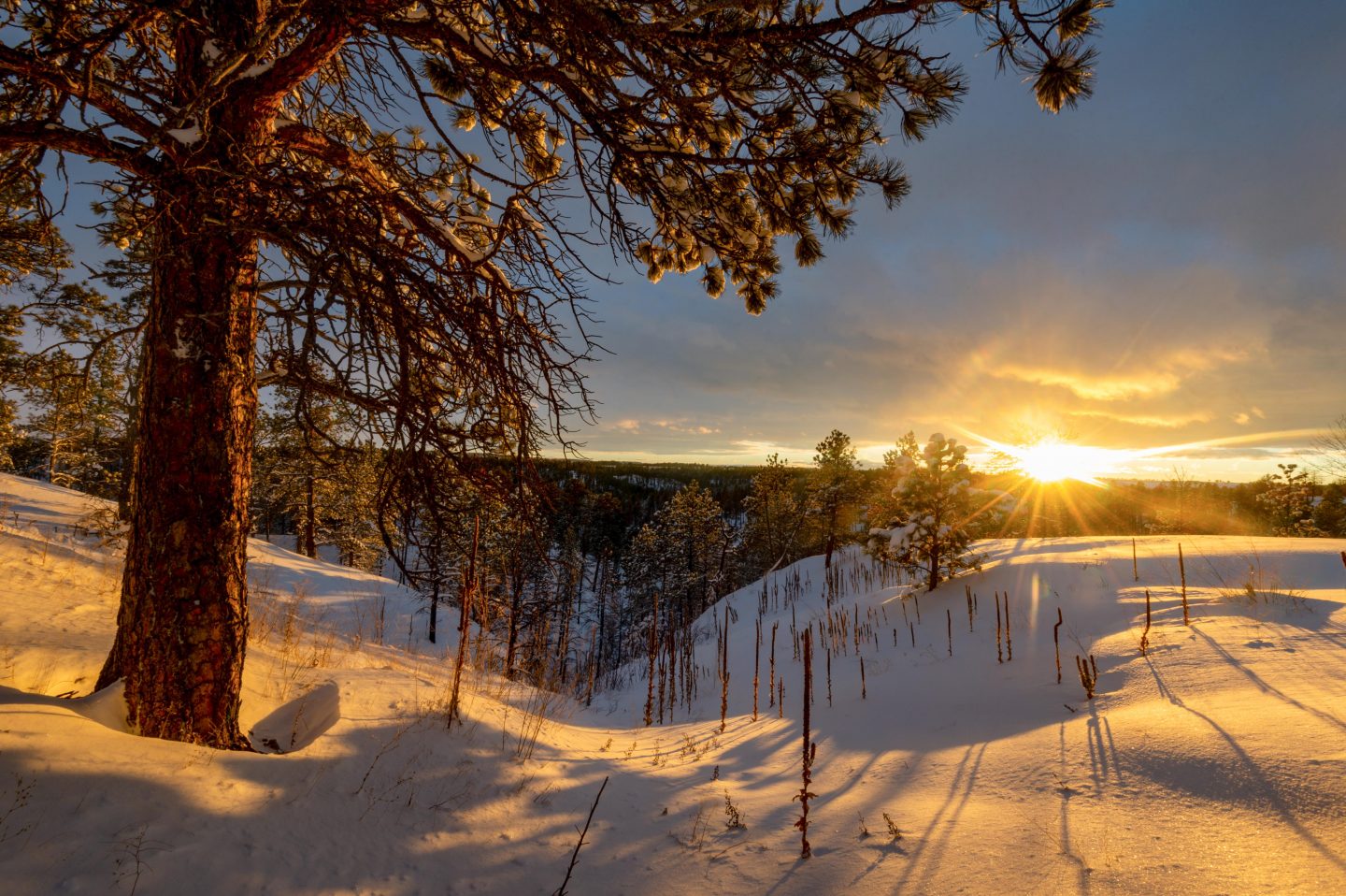 Sunrise over a snowy landscape in winter.