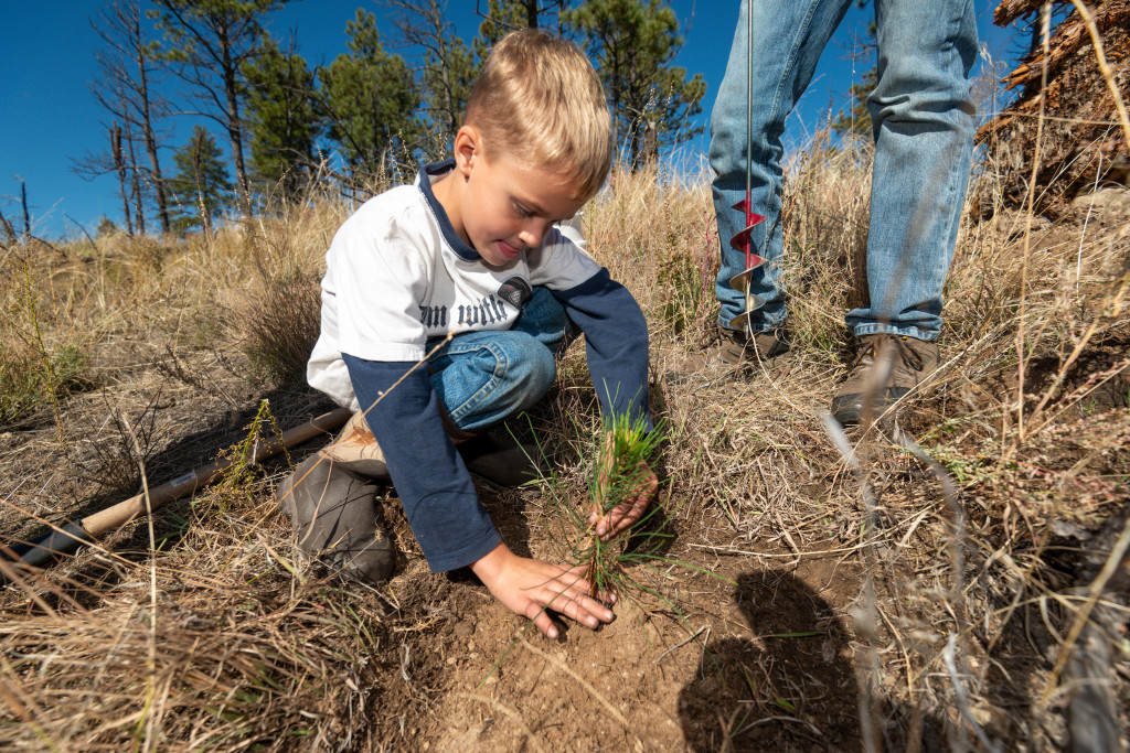 A child plants a pine tree in Nebraska's Pine Ridge.