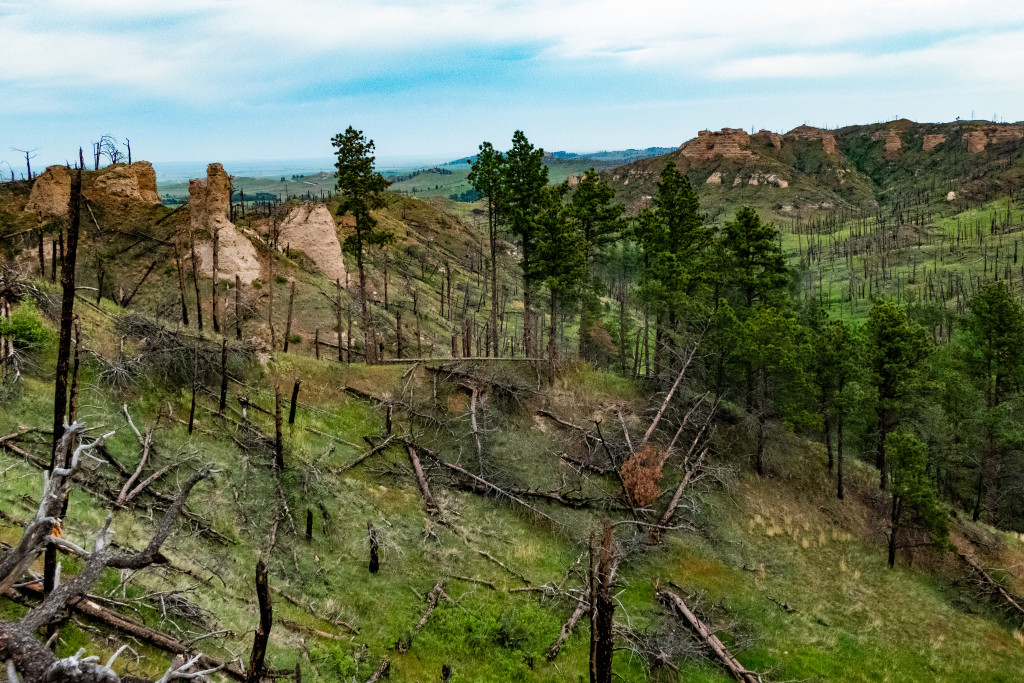 Scenic view from atop a trailhead in Nebraska's Pine Ridge.