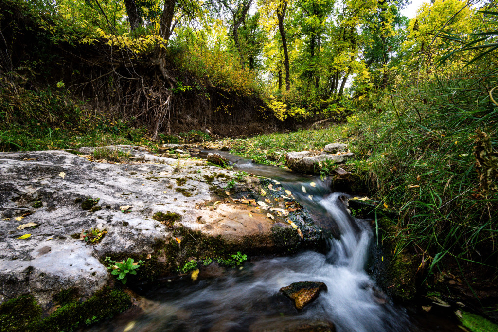 The cool water of Sowbelly Creek, originating from springs not far away, flows over a small waterfall while autumn colors dominate the scene.