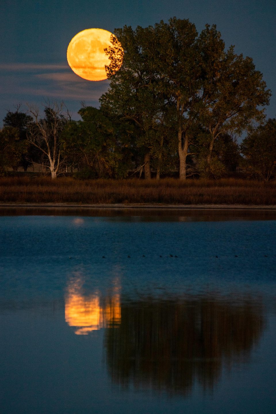 Full moon over Walgren Lake.