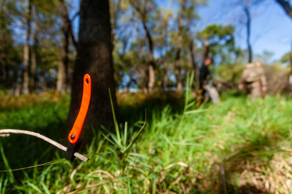 an orange marker shows where blood was food in the woods