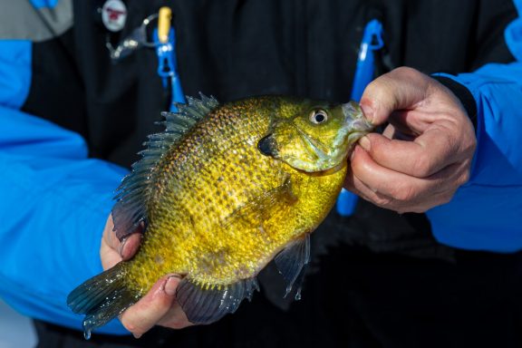 a man wearing a blue coat holds a fish in his hands