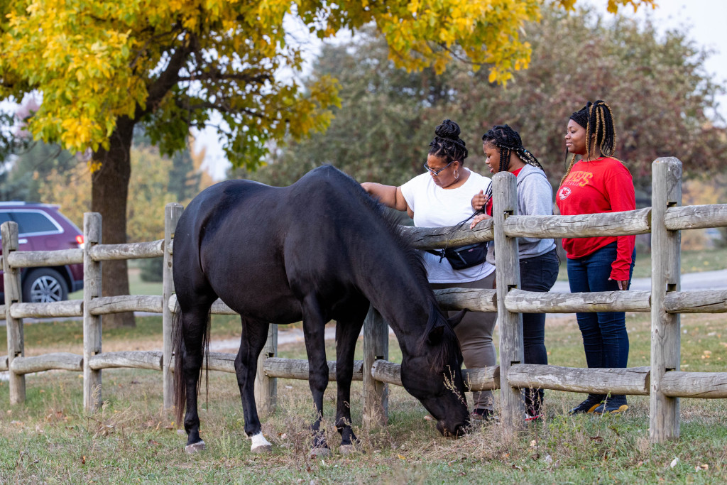 a woman and two girls pet a black horse