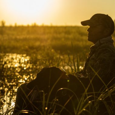 A man and his lab waterfowl hunting on a public wetland.