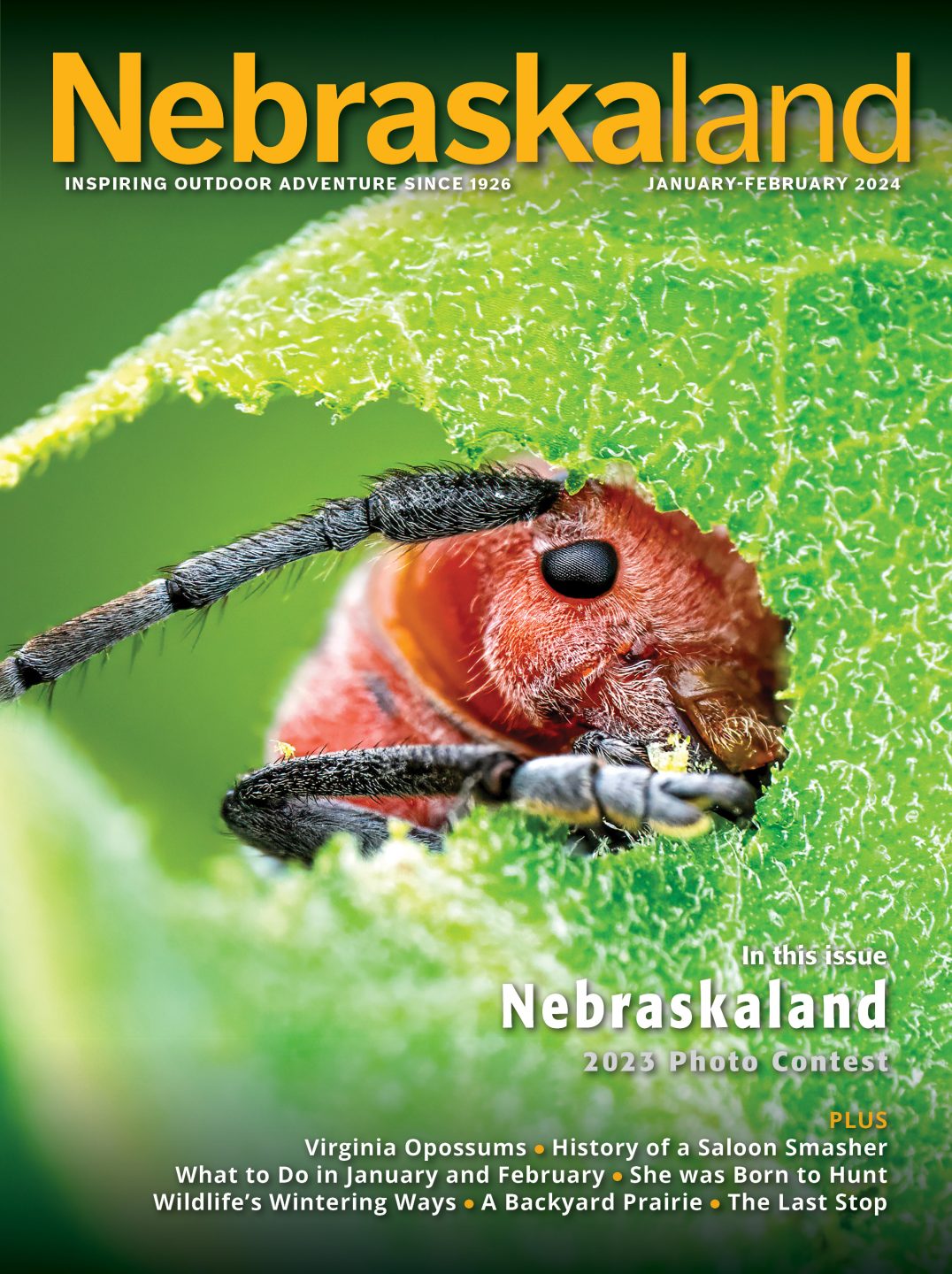 January-February 2024 Nebraskaland Magazine cover featuring the 2023 Nebraskaland Photo contest winner photo of a bug chewing through a leaf.