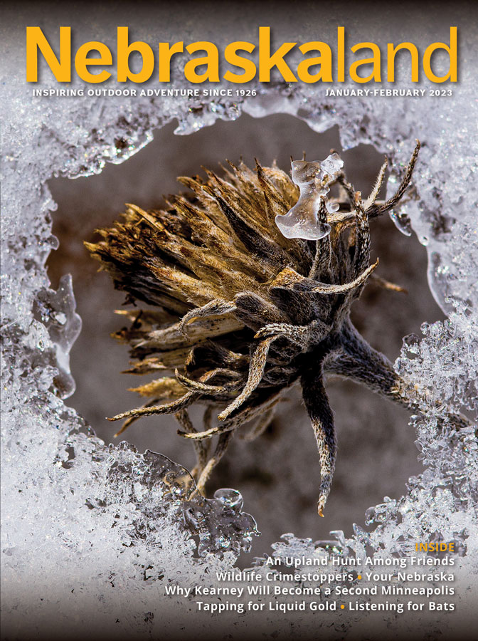 January-February 2023 Nebraskaland Magazine cover featuring a frozen wildflower bordered by ice.