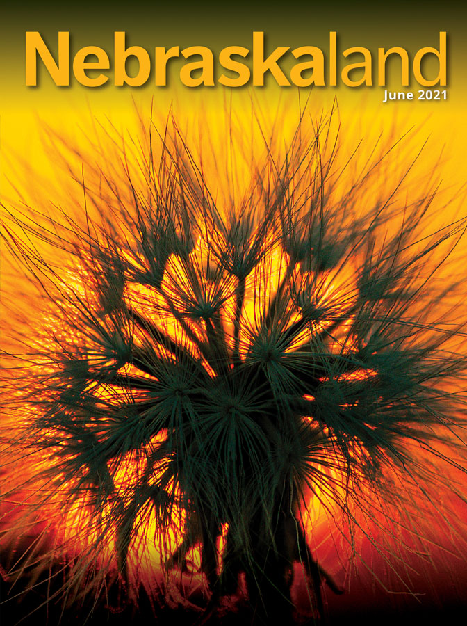 June 2021 cover of Nebraskaland featuring a plant silhouetted by an orange sunset.