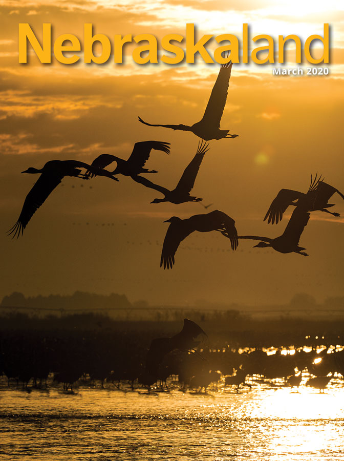 March 2020 cover of Nebraskaland featuring sandhill cranes in flight.