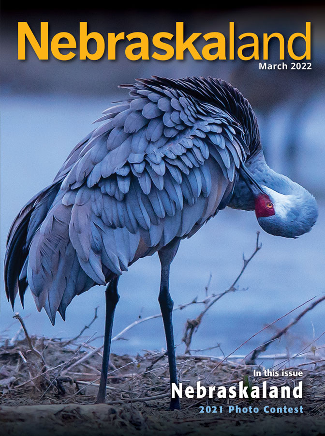 March 2022 Nebraskaland Magazine cover featuring of a sandhill crane preening itself.